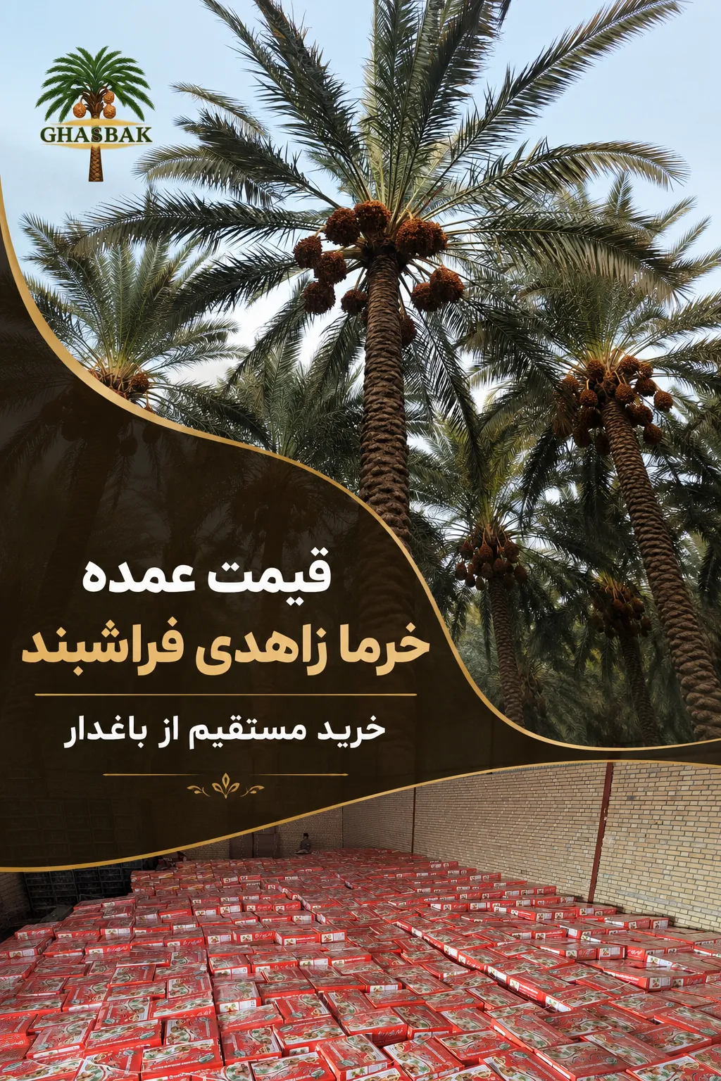 قیمت عمده خرما زاهدی فراشبند | خرید مستقیم از باغدار